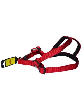 Glenand Harness 3/4 Inch Red